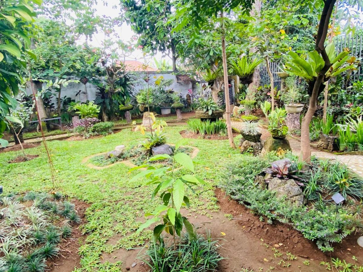 Double Room Garden View