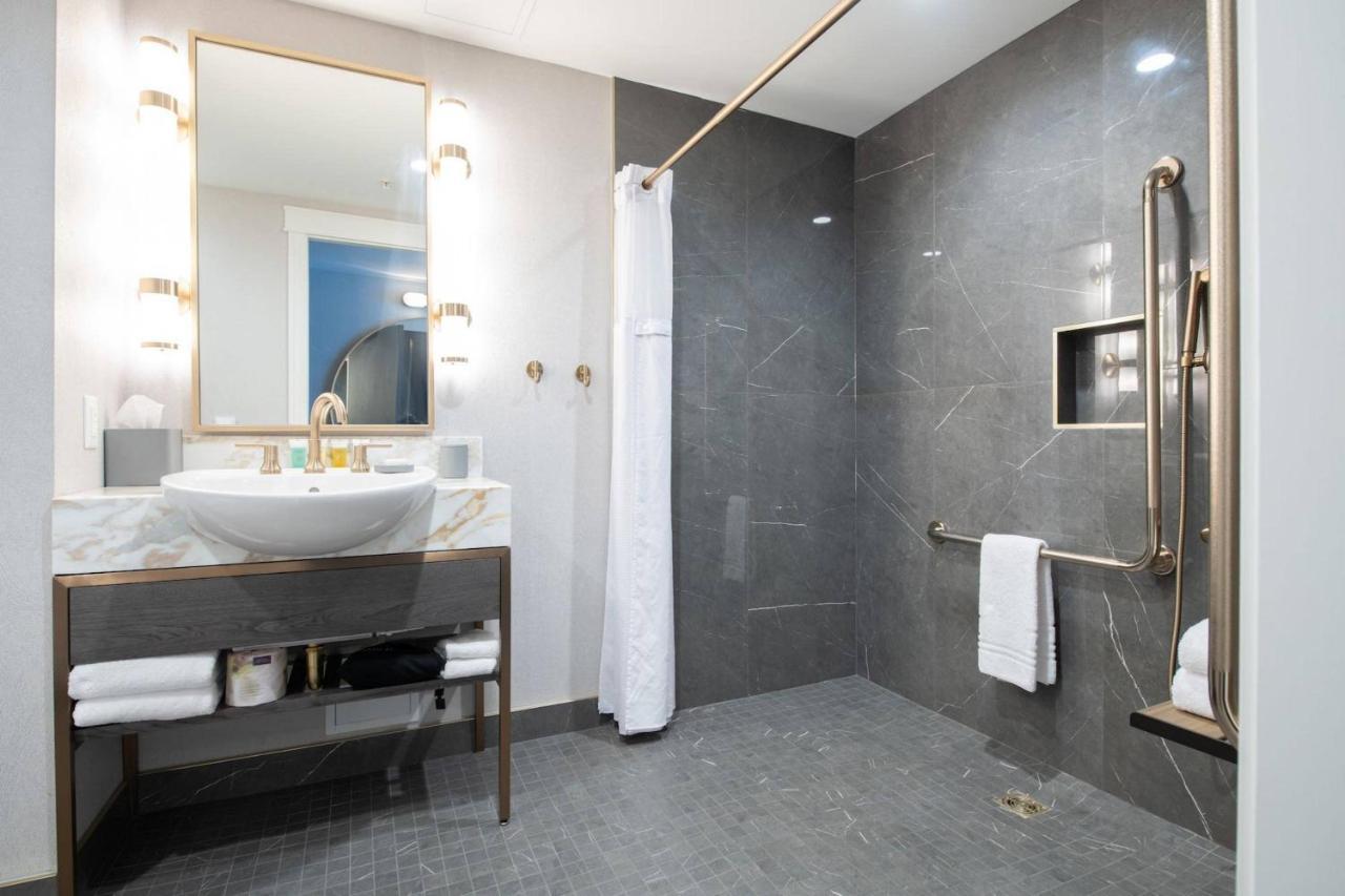 Accessible Room 1 King Bed 1 Sofa Bed Double Roll Shower