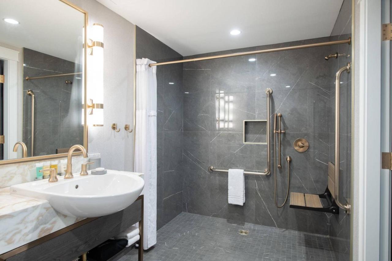 Accessible Room 1 King Bed 1 Sofa Bed Double Roll Shower