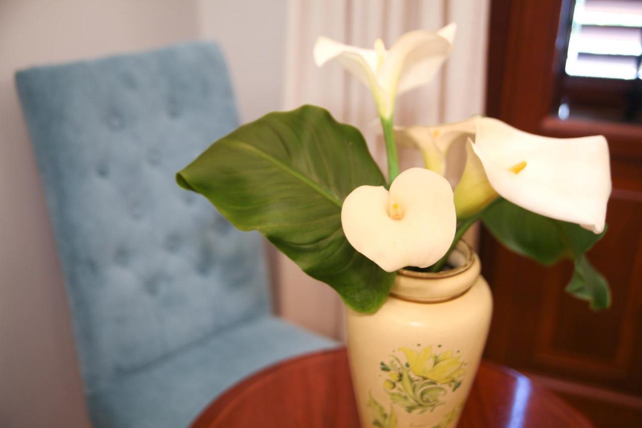 Superior Double or Twin Room Terrace