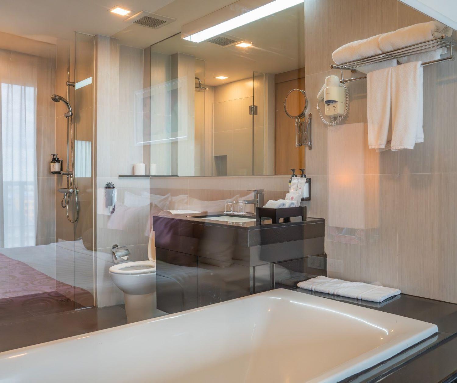Deluxe Plus Twin Room Balcony