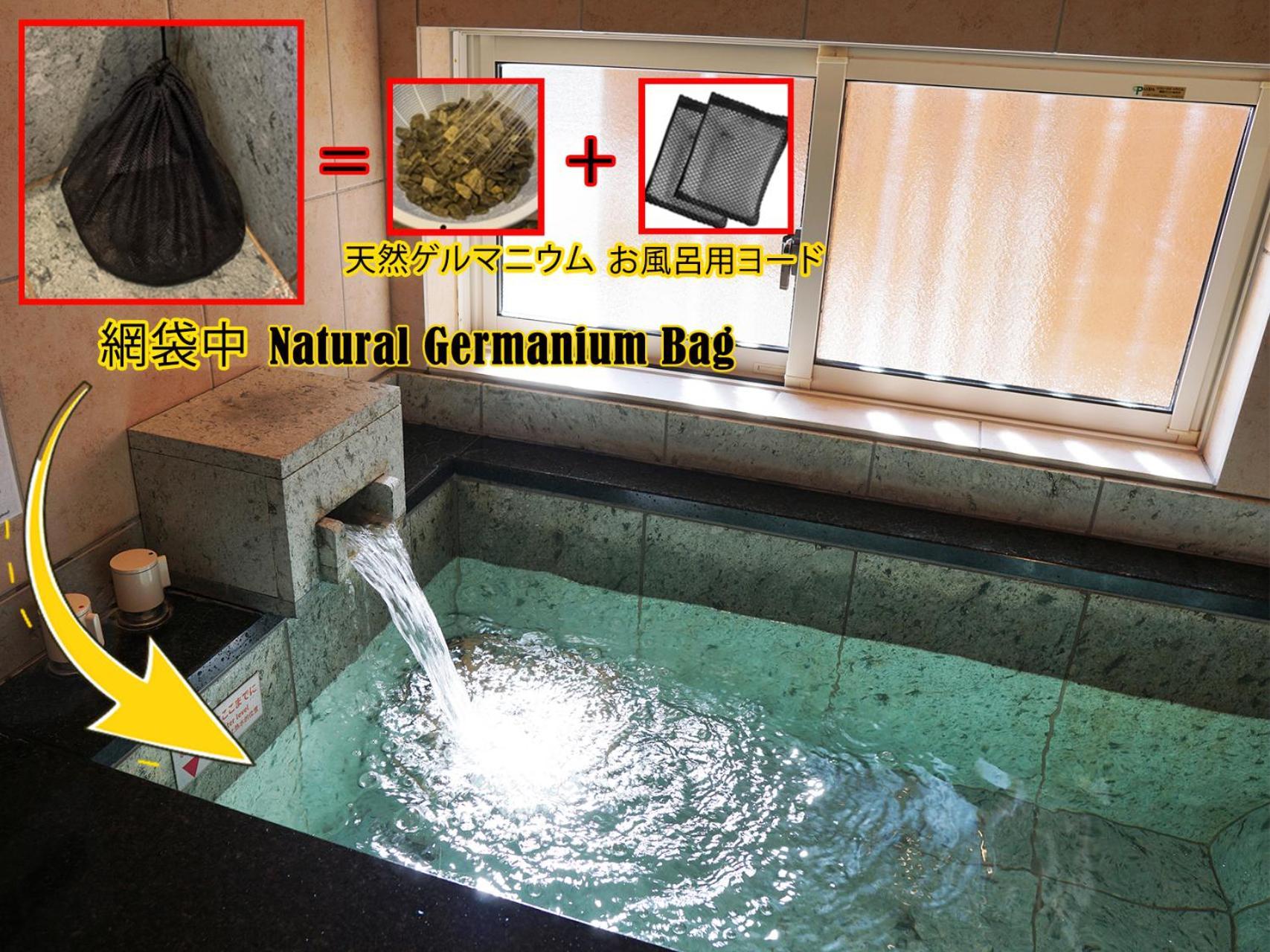 Garden Twin Room Tatami Area