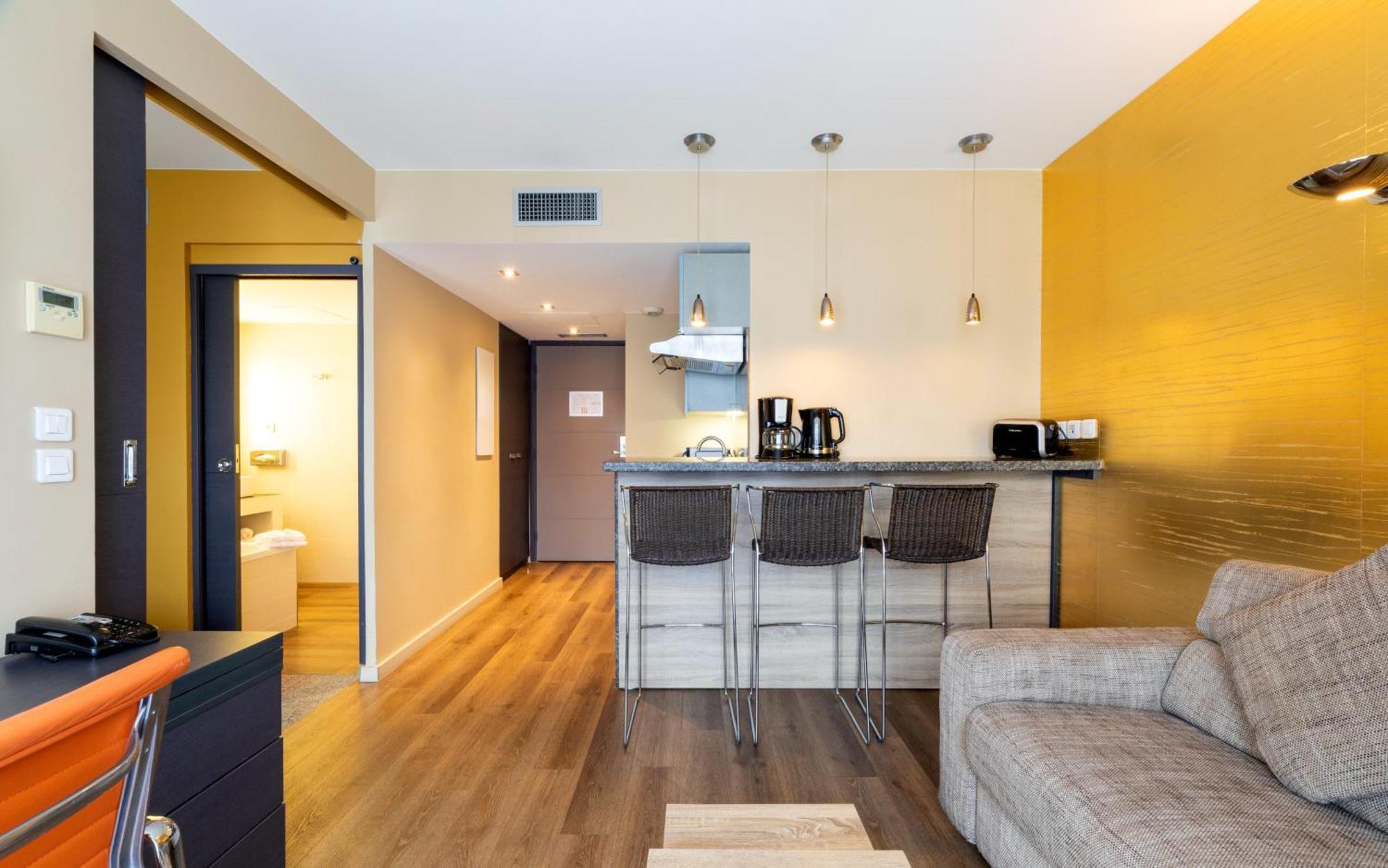 One-Bedroom Living Room a Sofa Bed Apartment