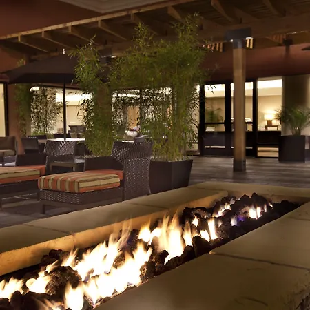 Hilton Concord-3