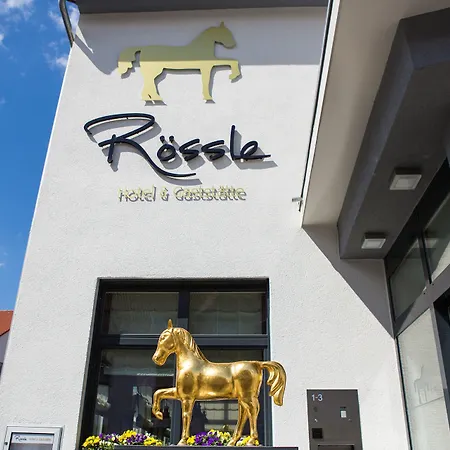Hotel&Restaurant Goldener Pflug-2