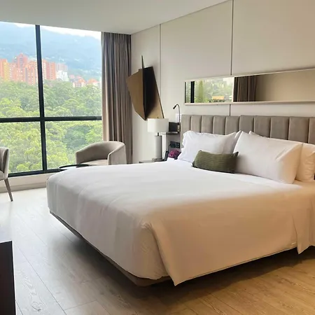 York Medellin, Curio Collection By Hilton-3
