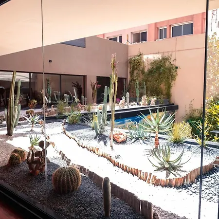 Longue vie Hotels-3