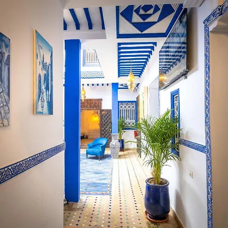 Riad Blue Eyes-3