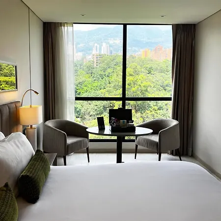 York Medellin, Curio Collection By Hilton-2